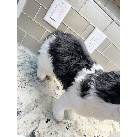 Vtg Hansa Realistic Black White Cat Standing Life Size Soft Fuzzy Plush 4221 Nos - Picture 2 of 10